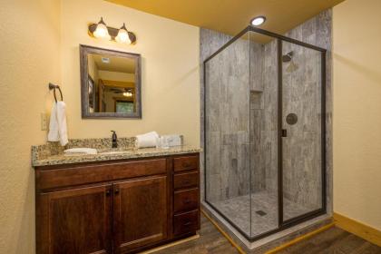 Smoky Mountain Plunge chalet - image 24