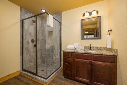 Smoky Mountain Plunge chalet - image 27