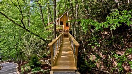 The Cedar in Treehouse Grove at Norton Creek - image 23