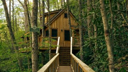 The Cedar in Treehouse Grove at Norton Creek - image 25
