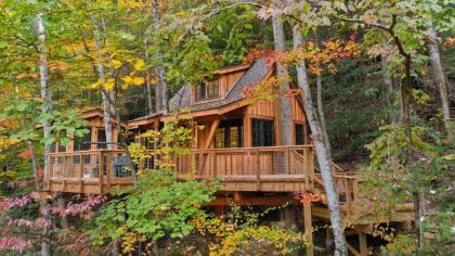The Dogwood in Treehouse Grove at Norton Creek - image 22