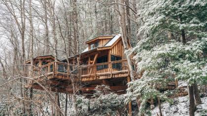 The Dogwood in Treehouse Grove at Norton Creek - image 23