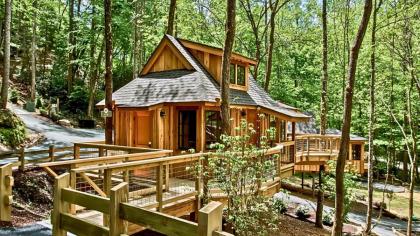 The Elm in Treehouse Grove at Norton Creek - image 21