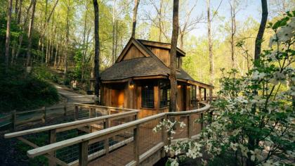 The Elm in Treehouse Grove at Norton Creek - image 22