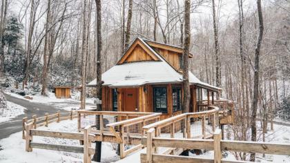 The Elm in Treehouse Grove at Norton Creek - image 23