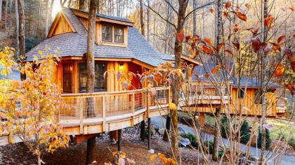 The Elm in Treehouse Grove at Norton Creek - image 25