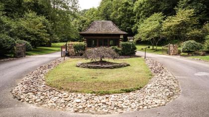 The Elm in Treehouse Grove at Norton Creek - image 28
