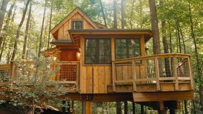 The Maple in Treehouse Grove at Norton Creek - image 23
