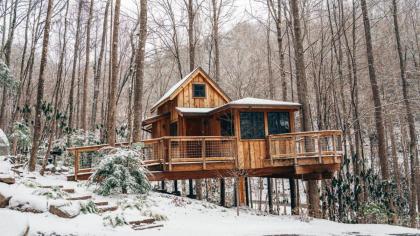 The Maple in Treehouse Grove at Norton Creek - image 26