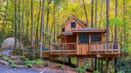 The Maple in Treehouse Grove at Norton Creek - image 27