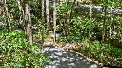 The Maple in Treehouse Grove at Norton Creek - image 30