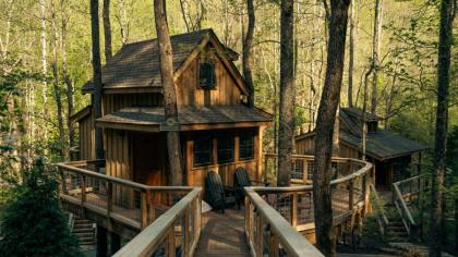 The Hemlock in Treehouse Grove at Norton Creek