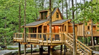 The Poplar in Treehouse Grove at Norton Creek - image 21
