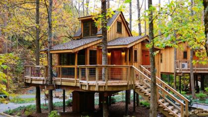The Poplar in Treehouse Grove at Norton Creek - image 22