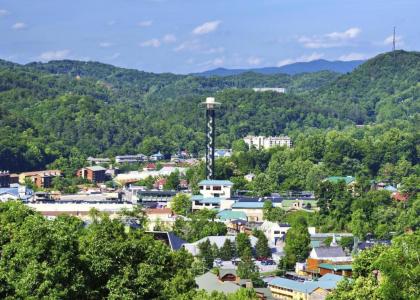 Condo 103 at Gatlingburg Downtown - image 16