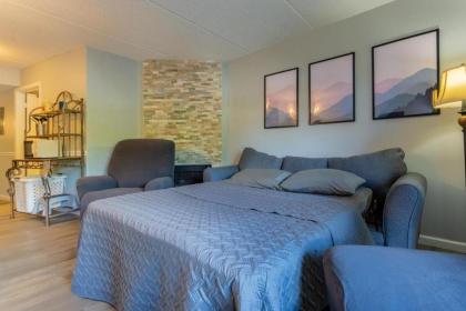 Condo 103 at Gatlingburg Downtown - image 22