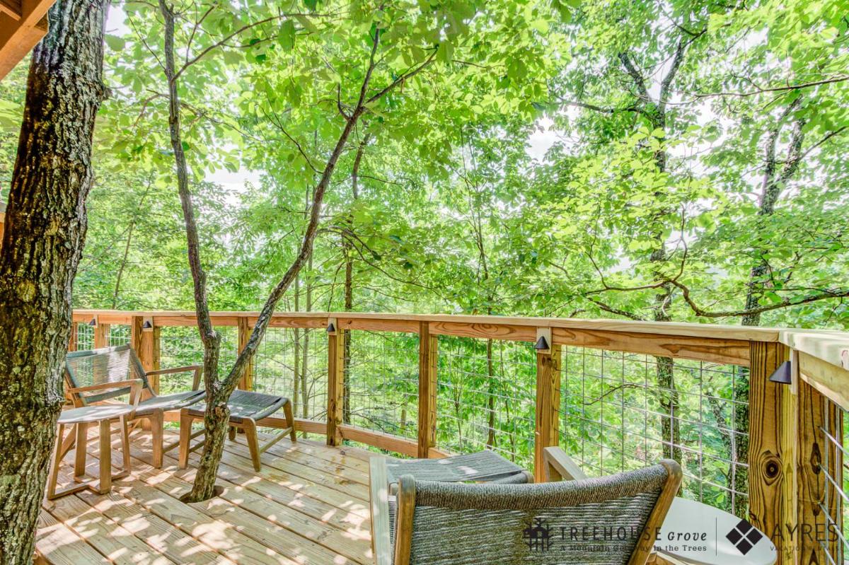 The Cherry in Treehouse Grove at Norton Creek - image 2