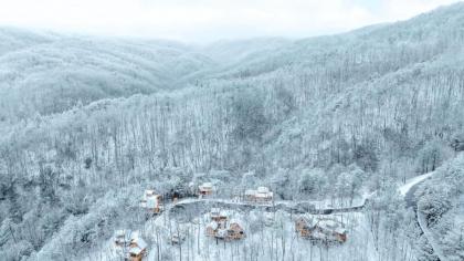 The Spruce in Treehouse Grove at Norton Creek - image 21