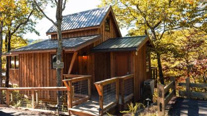 The Blackjack Oak in Treehouse Grove at Norton Creek - image 22