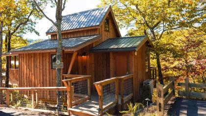 The Blackjack Oak in Treehouse Grove at Norton Creek - image 24