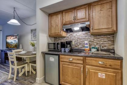 Mountain Splendor 105 - Beautiful Condo in the Heart of Gatlinburg condo - image 9