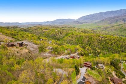 Eagles View - image 4