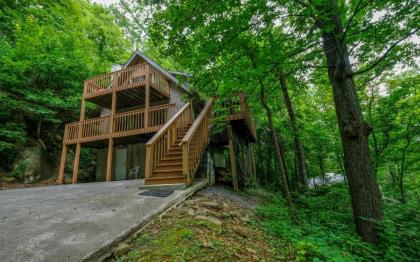 Bearly Heaven 1910 - image 25