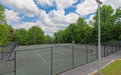 Bearly Heaven 1910 - image 29