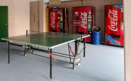 Bearly Heaven 1910 - image 30