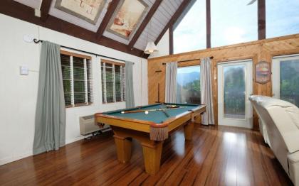 Cozy Bear 856 - image 11