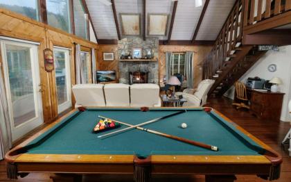 Cozy Bear 856 - image 12