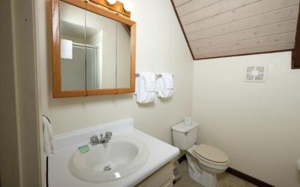 Cozy Bear 856 - image 19