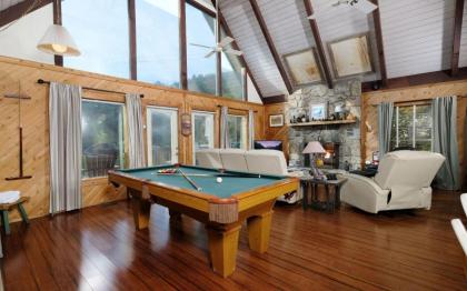 Cozy Bear 856 - image 3