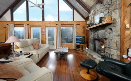 Cozy Bear 856 - image 4