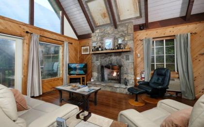 Cozy Bear 856 - image 6