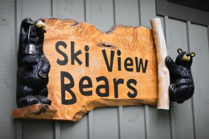 Ski View Bears - image 5
