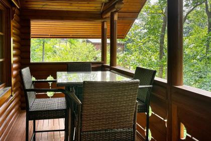 Pine Cone Cabin - image 3