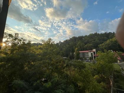 Timber Ridge Lodge - Walking Distance from Downtown Gatlinburg - image 16