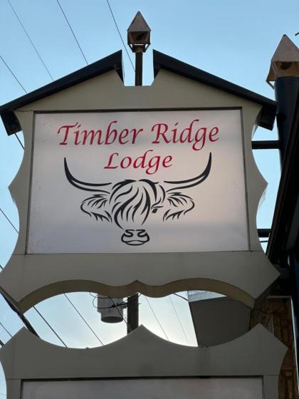 Timber Ridge Lodge - Walking Distance from Downtown Gatlinburg - image 18