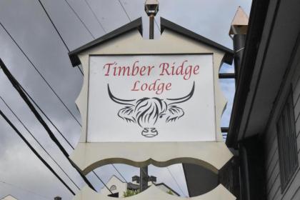 Timber Ridge Lodge - Walking Distance from Downtown Gatlinburg - image 9