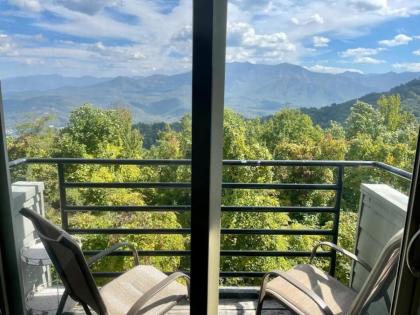 Top of the Smokies - image 17