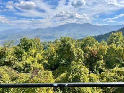 Top of the Smokies - image 18