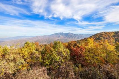 Top of the Smokies - image 19