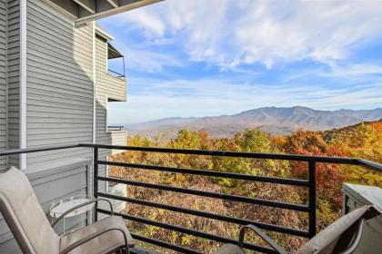 Top of the Smokies - image 2