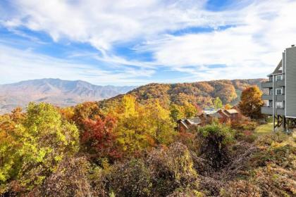 Top of the Smokies - image 3
