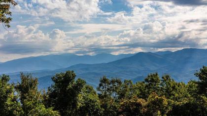 Smokies Summit View - image 27