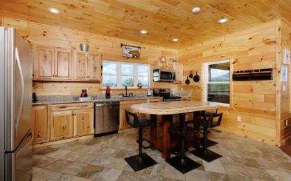 Beartastic Mountain View Lodge - image 14