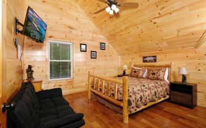 Beartastic Mountain View Lodge - image 22