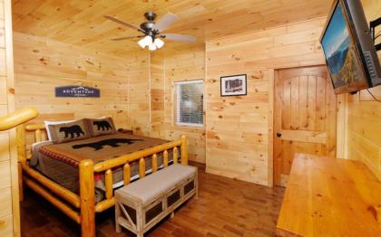 Beartastic Mountain View Lodge - image 24