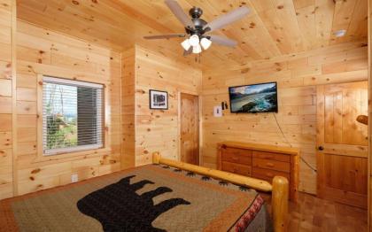 Beartastic Mountain View Lodge - image 25